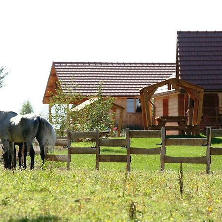 Le Hameau Des Grilles Villa Saint-Fargeau  Buitenkant foto
