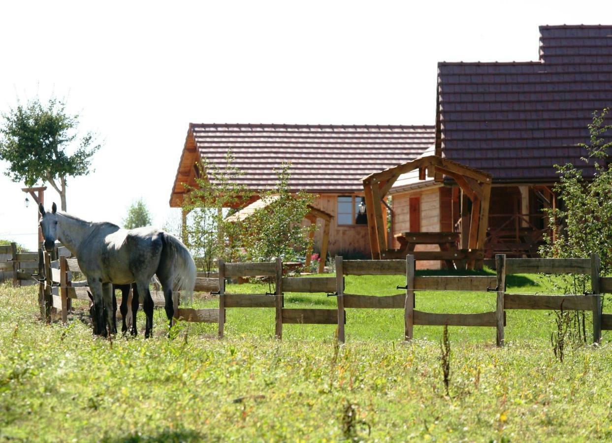 Le Hameau Des Grilles Villa Saint-Fargeau  Buitenkant foto